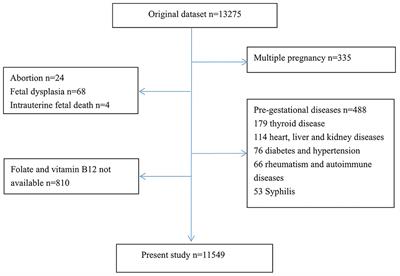 Association of folate and vitamin B12 imbalance with adverse pregnancy outcomes among 11,549 pregnant women: An observational cohort study